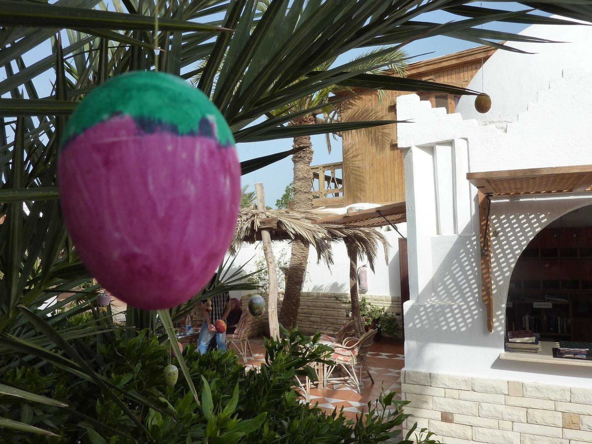 Inmo Divers Home Dahab Zewnętrze zdjęcie